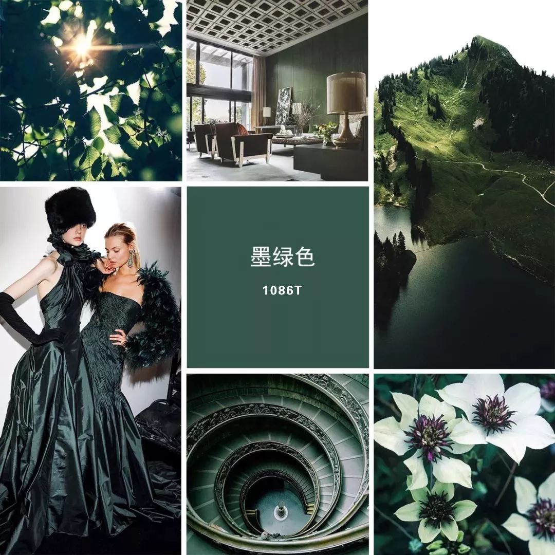 图片10.jpg